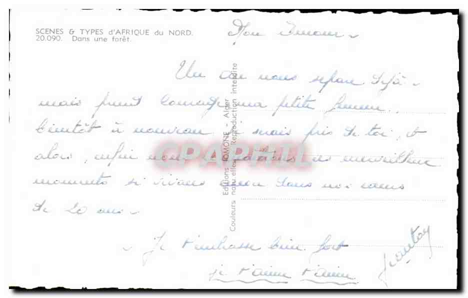 CPA Algerie Scenes and Types d Afrique du Nord Dans une foret — Rückseite