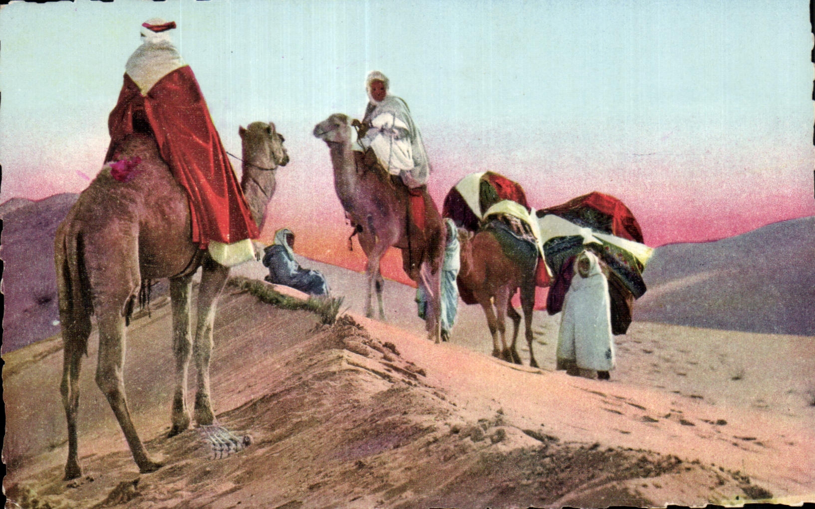 CPA Algerie Scenes and Types d Afrique du Nord Caravane dans le desert