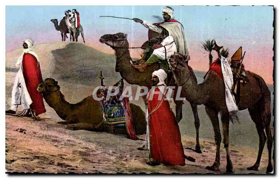 CPSM Algerie Scenes   types Meharistes cherchant la piste a travers les dunes