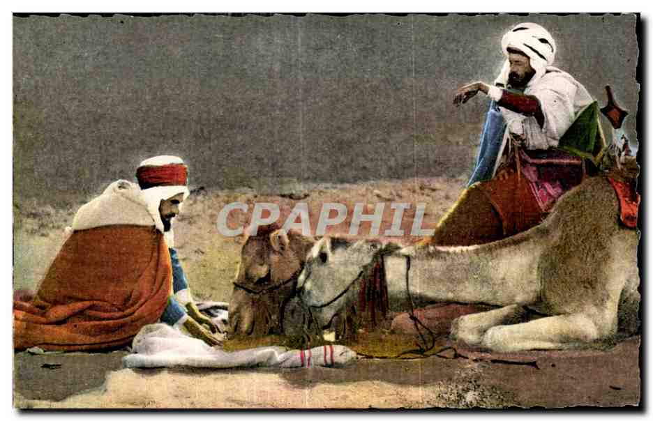 CPQM Scenes   types d afrique du nord 8 133 le repas des meharas