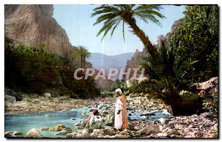 CPSM Algerie Scenes   types d afrique du nord 8 285 Paysage du sud