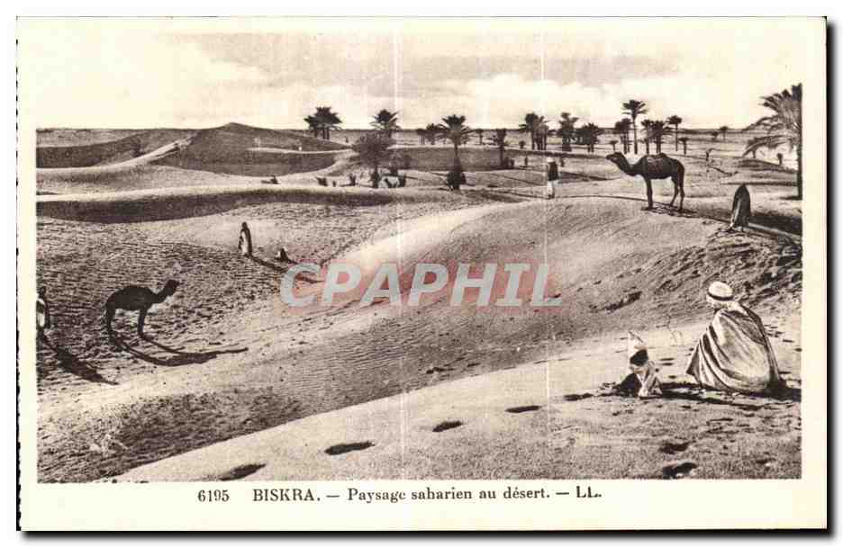 CPA Algerie Env de Biskra - Payage saharien au desert 
