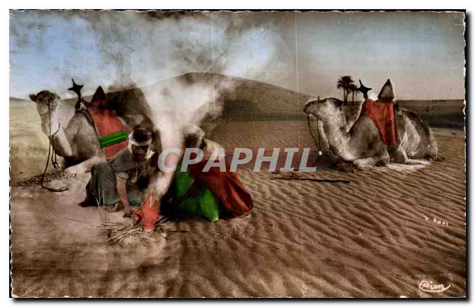 CPSM Algerie Le Desert 1010 - La Halte Chameau Camel