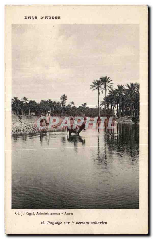 CPA Algerie Paysage sur le versant saharien Ane donkey