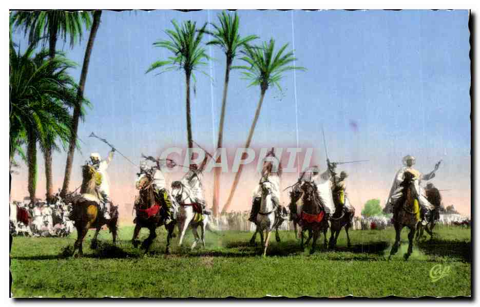 CPA Algerie Scenes et types- Fantasia