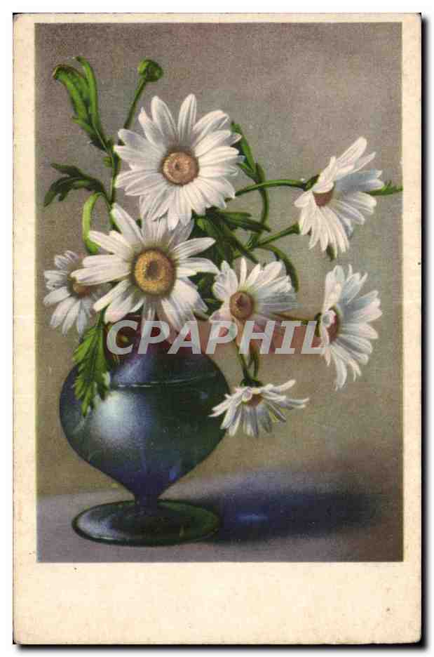 CPA Fantaisie Fleurs 