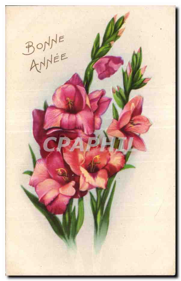 CPA Fantaisie Fleurs Bonne Annee