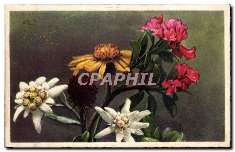 CPA Fantaisie Fleurs 