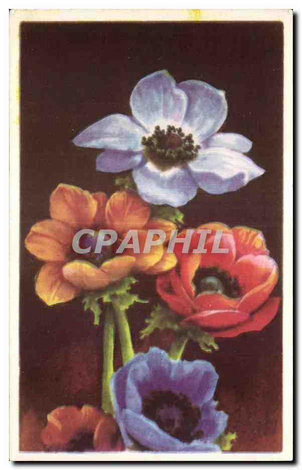 CPA Fantaisie Fleurs 
