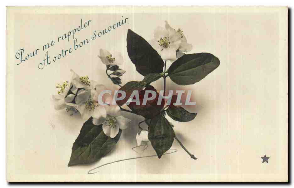 CPA Fantaisie Fleurs 