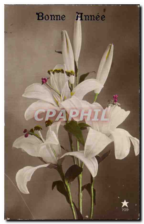 CPA Fantaisie Fleurs Bonne Annee