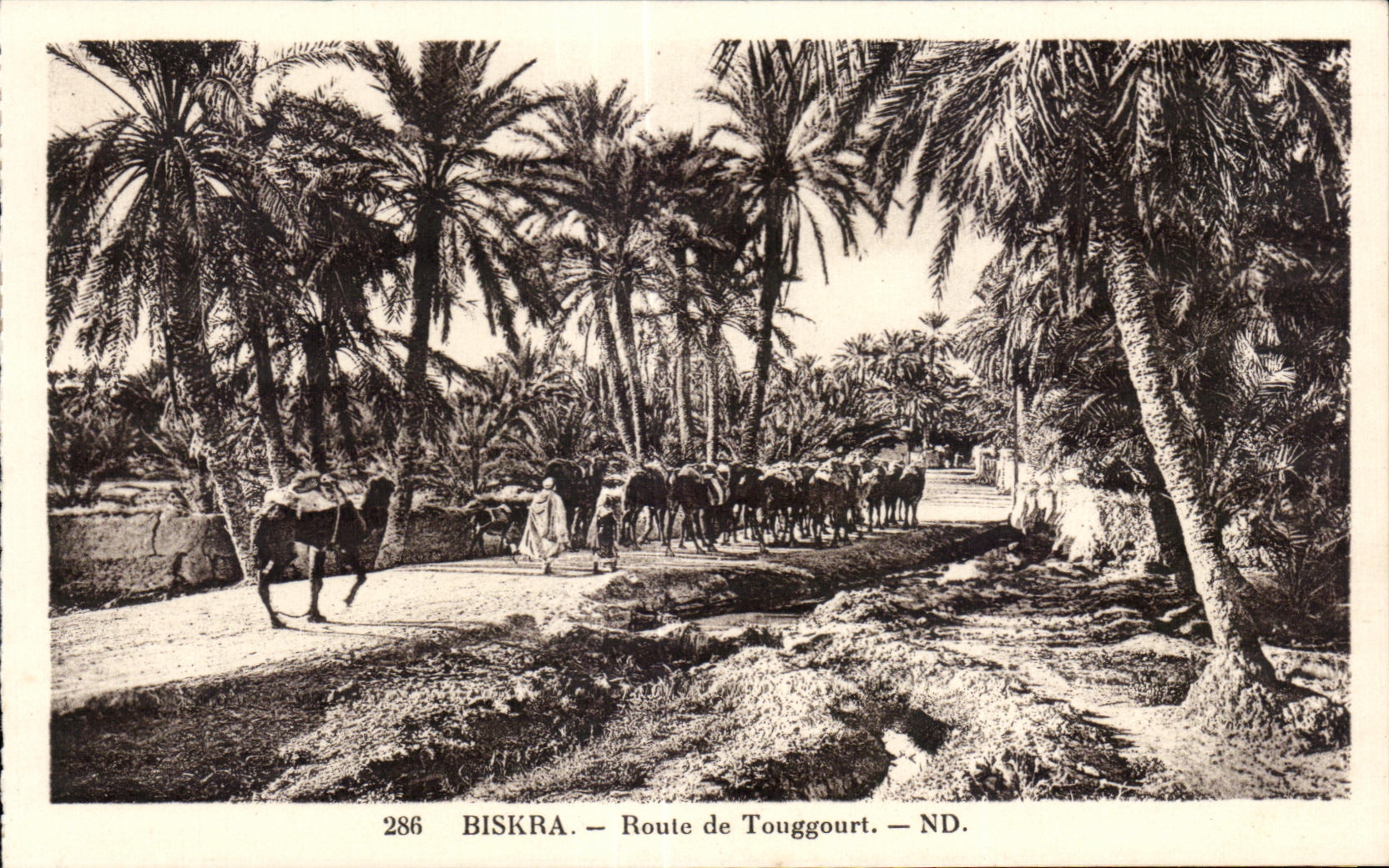 Biskra — Route de Touggourt — ND. — Éditeur : Lavy et Reuchacer, Paris