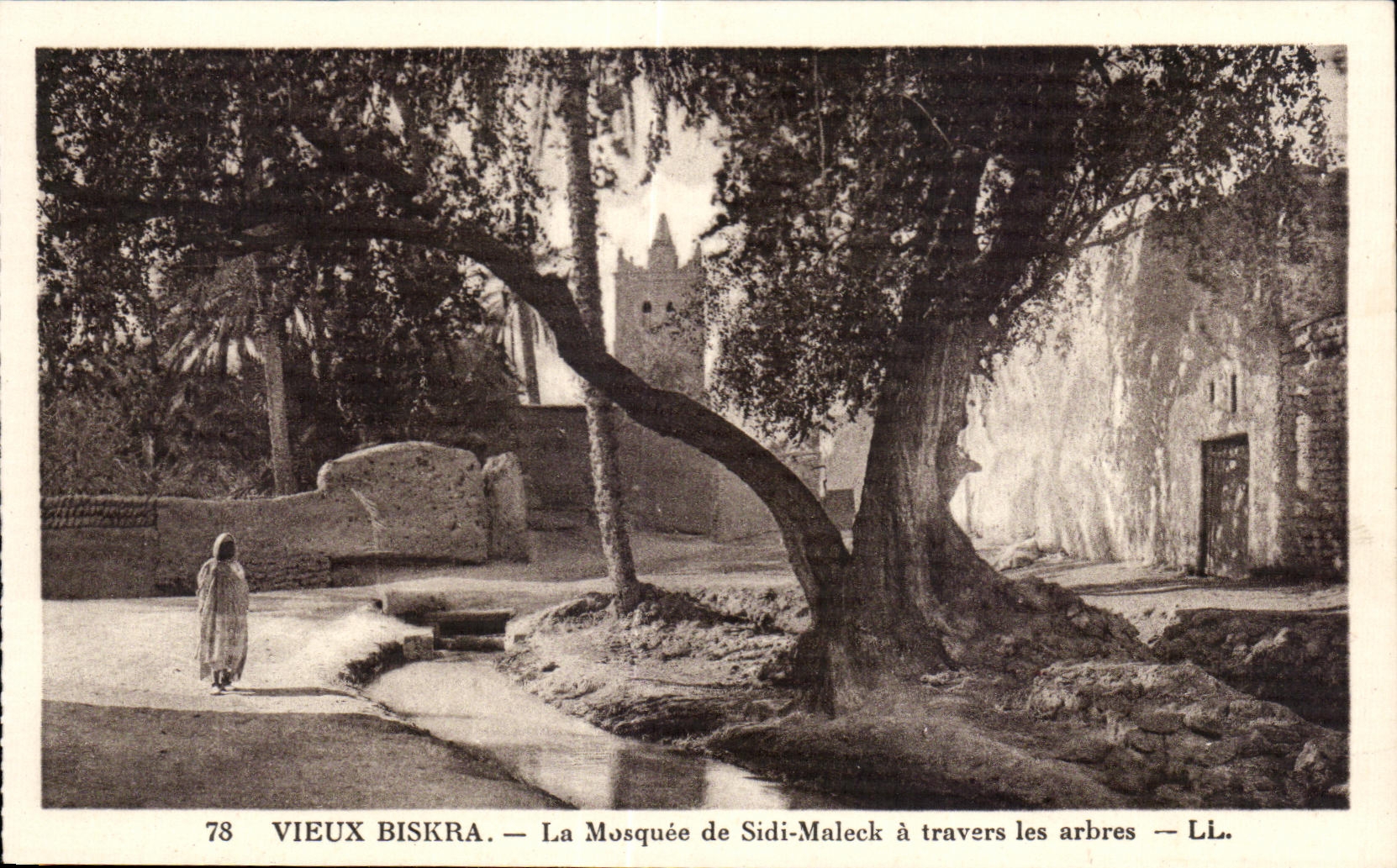 CPA Algerie Vieux Biskra La Mosquee de Sidi Maleek a travers les arbres