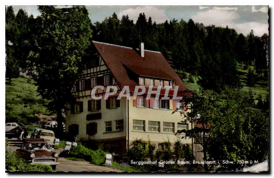 CPA Berggasthof Gruner Baum Brandmatt I Schw 750m
