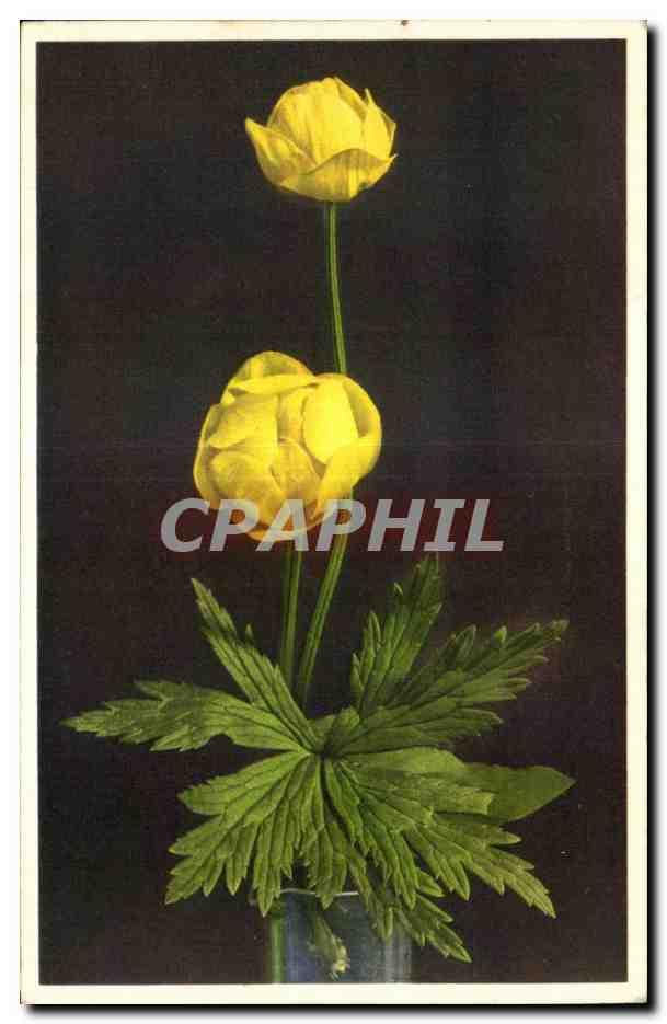 CPA Fantaisie Fleurs 