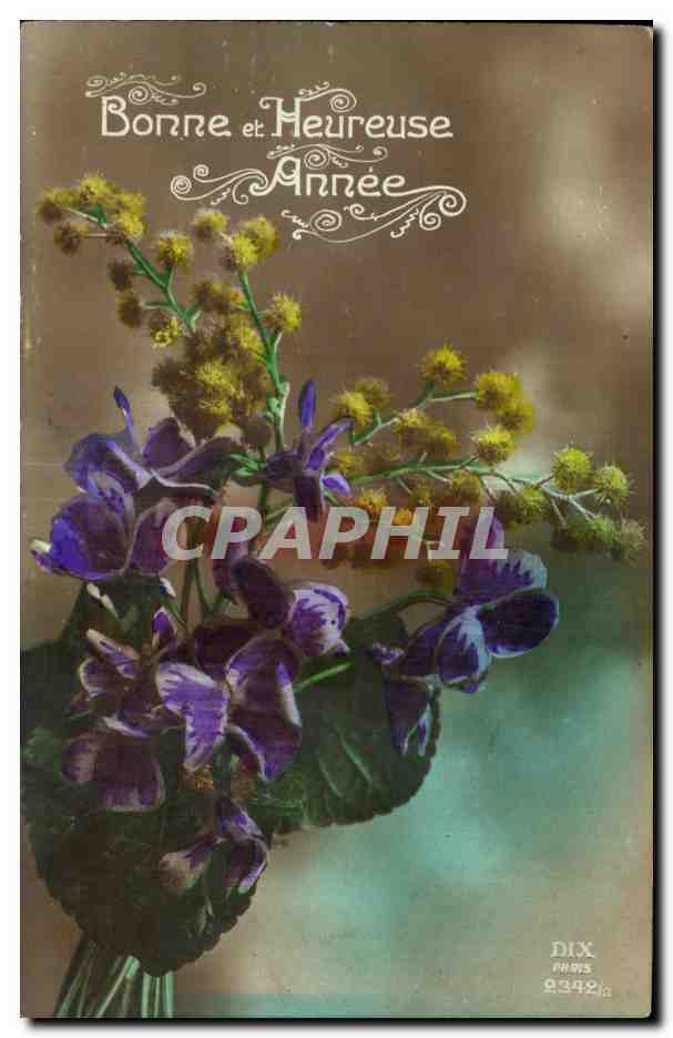 CPA Fantaisie Fleurs Bonne Heureuse anne