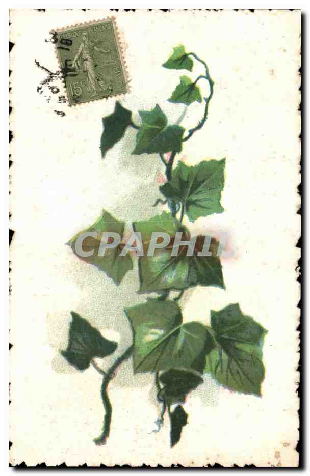 CPA Fantaisie Fleurs Feuille de vigne
