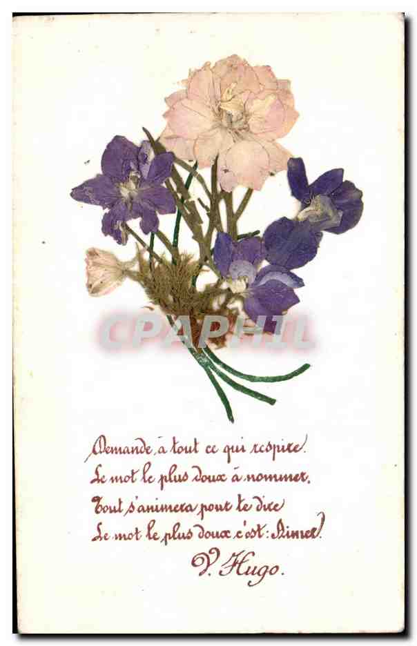CPA Fantaisie Fleurs Victor Hugo