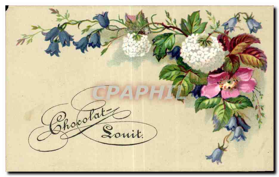 CPA Fantaisie Fleurs Publicite Chocolat Louit 