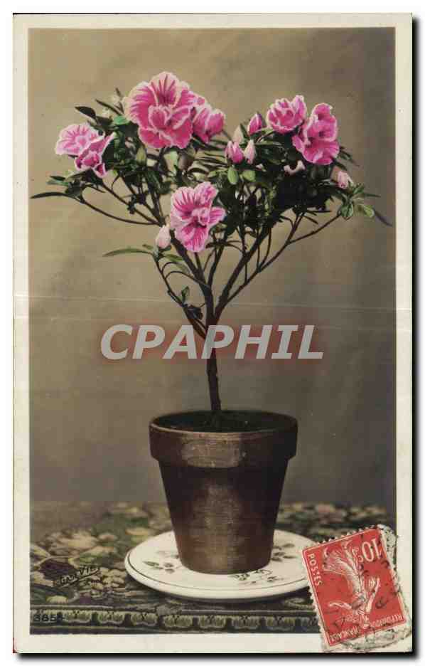 CPA Fantaisie Fleurs 