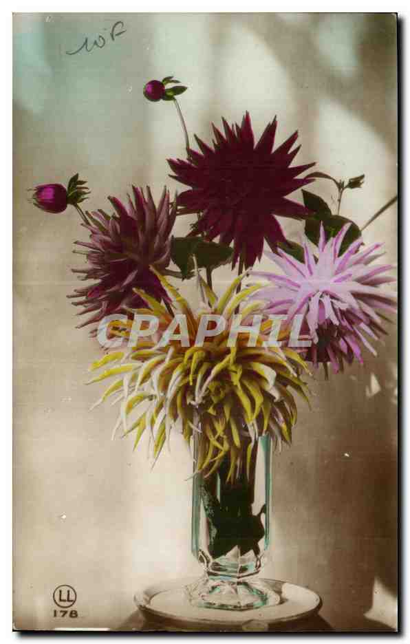 CPA Fantaisie Fleurs 