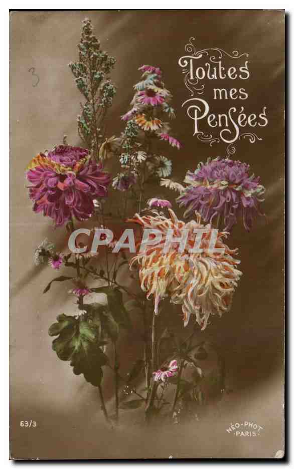 CPA Fantaisie Fleurs Toutes pensees