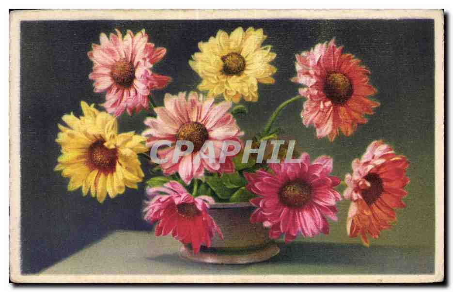 CPA Fantaisie Fleurs 