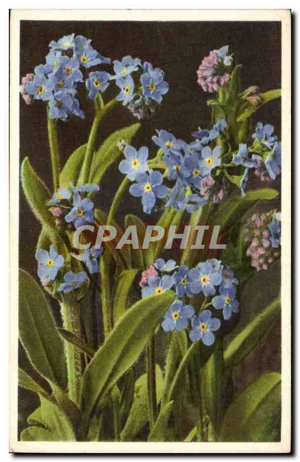CPA Fantaisie Fleurs 