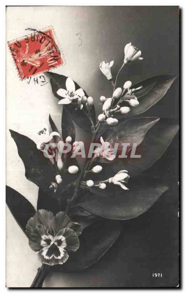 CPA Fantaisie Fleurs 