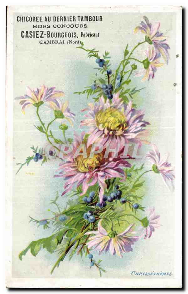 CPA Fantaisie Fleurs Publicite Chicoree au dernier tambour Casiez Bourgeois Cambrai 