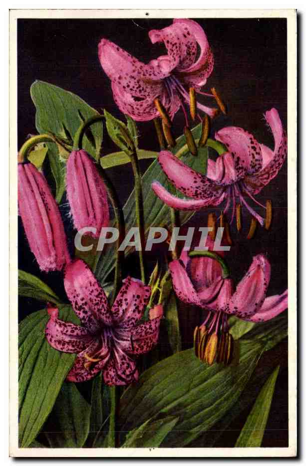 CPA Fantaisie Fleurs 