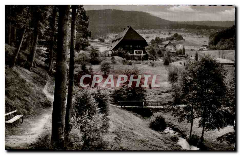 Herrenalb/Schwarzwald — Im Goistal — Kunstverlag Karl Pötz, Fürth