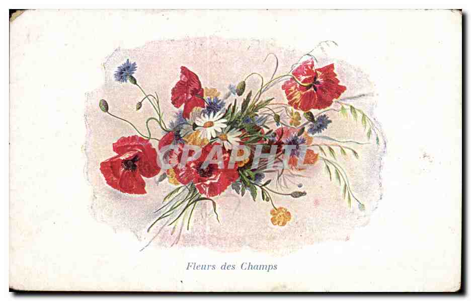 CPA Fantaisie Fleurs 
