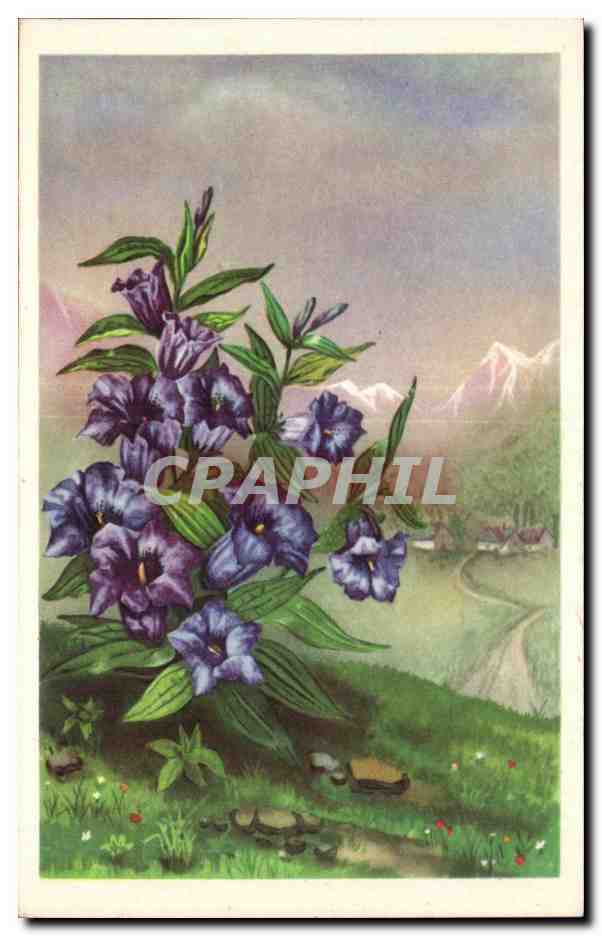 CPA Fantaisie Fleurs 
