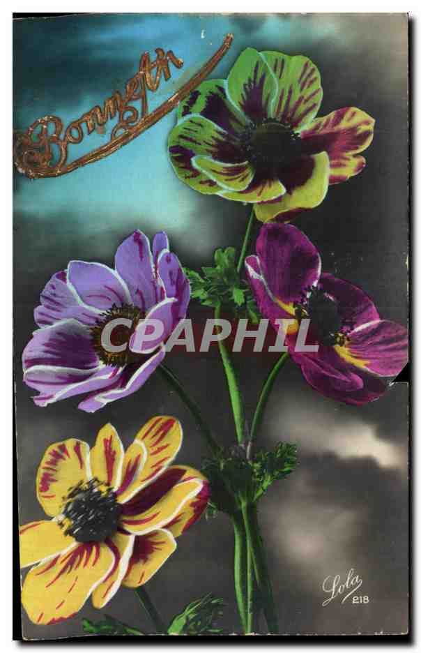 CPA Fantaisie Fleurs 