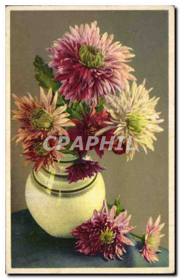 CPA Fantaisie Fleurs 