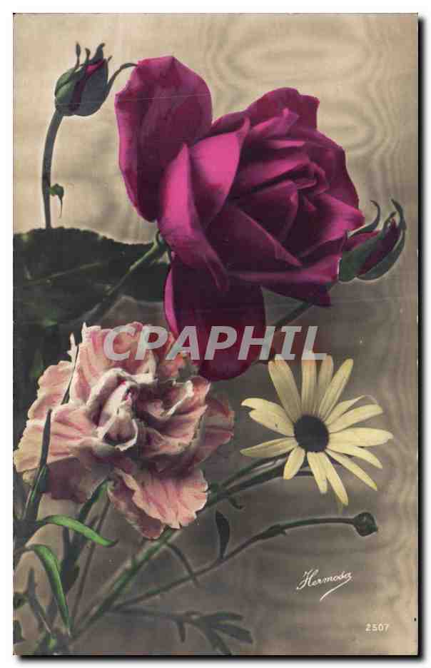 CPA Fantaisie Fleurs Rose