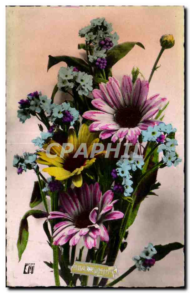 CPA Fantaisie Fleurs 
