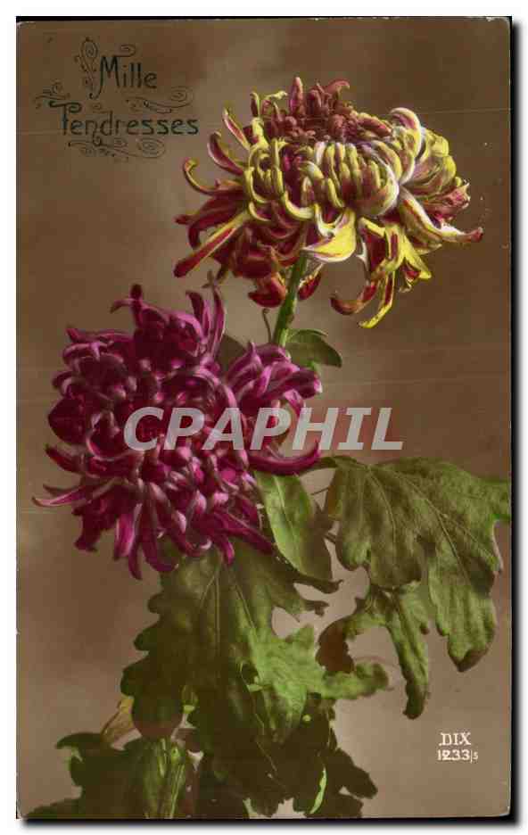 CPA Fantaisie Fleurs Mille tendresses