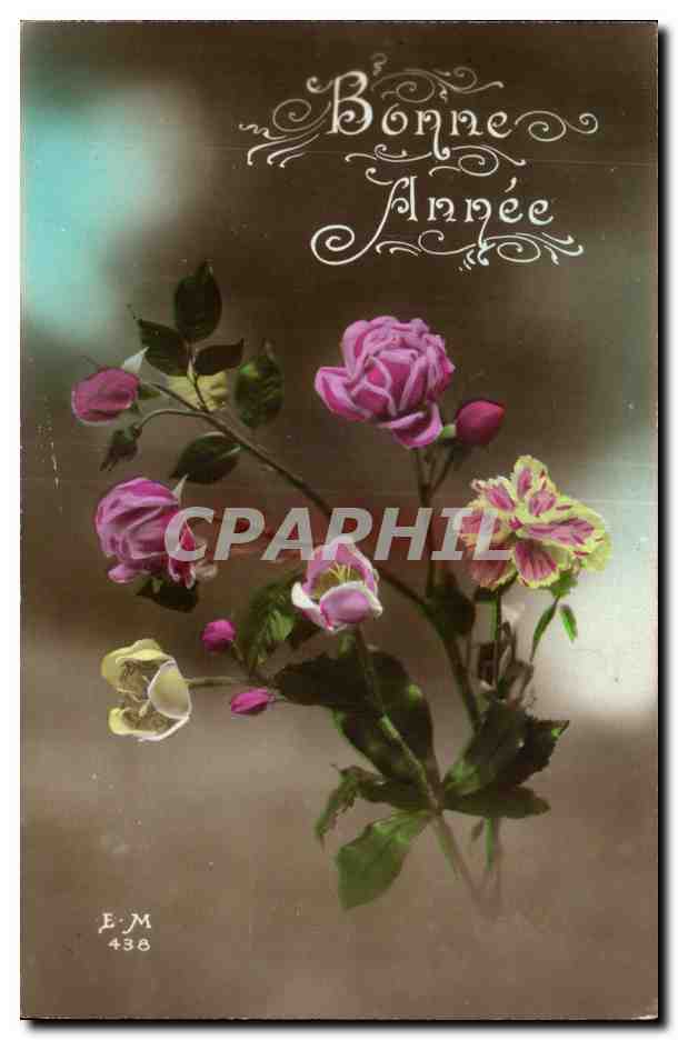 CPA Fantaisie Fleurs Bonne annee