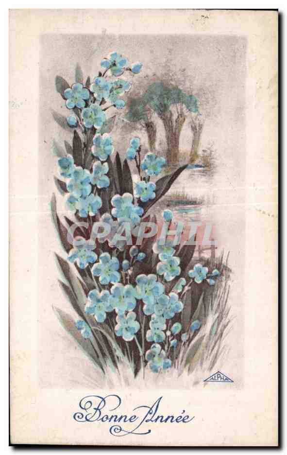 CPA Fantaisie Fleurs Bonne annee