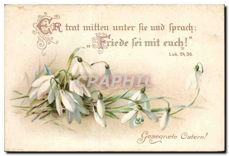 CPA Fantaisie Fleurs 