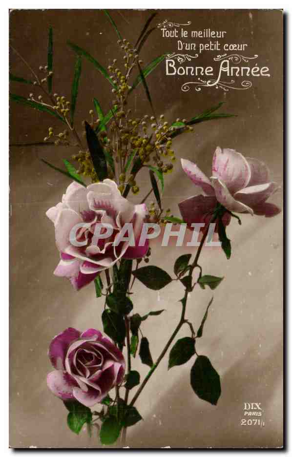 CPA Fantaisie Fleurs Bonne annee