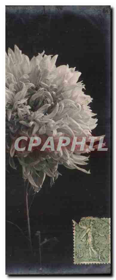 CPA Fantaisie Fleurs 