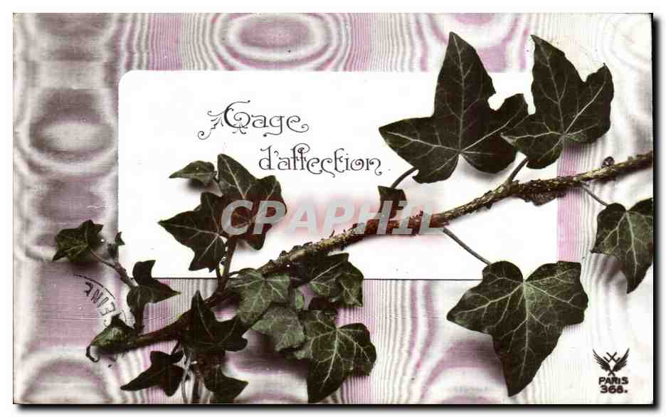CPA Fantaisie Fleurs 
