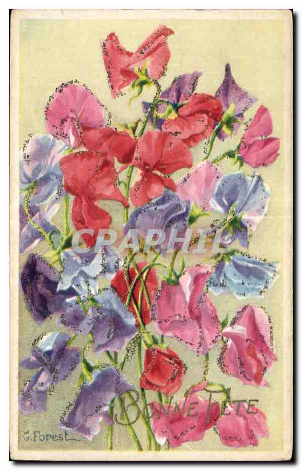 CPA Fantaisie Fleurs 