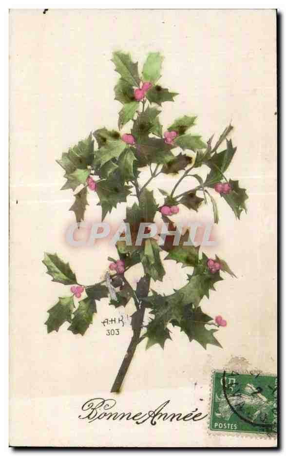 CPA Fantaisie Fleurs BonneAnnee