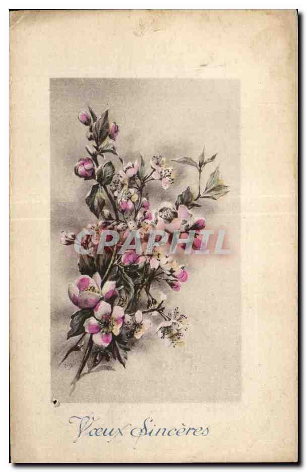 CPA Fantaisie Fleurs 