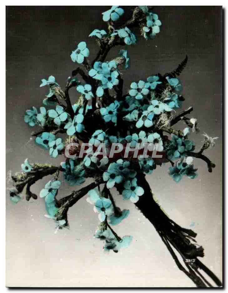 CPA Fantaisie Fleurs 