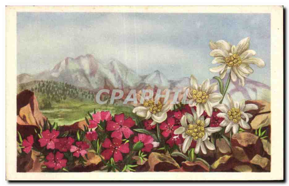 CPA Fantaisie Fleurs 